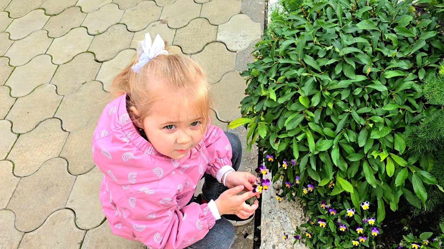 ✨Ещё одна задача решена👍✨️Настроение пирожки😋✨️Внучата в гостях🤗✨️