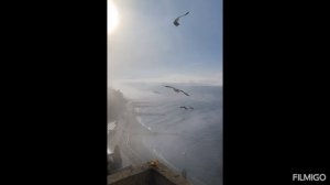 1000050220.mp4