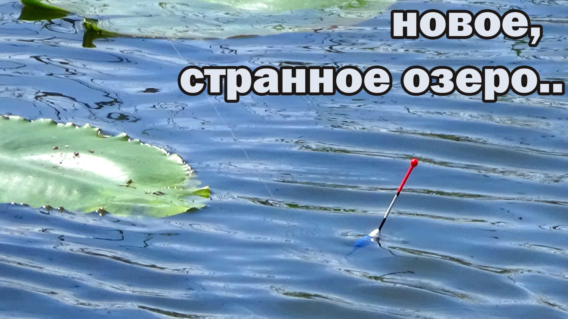 Рыбалка на поплавок 18 мая на новом пруду у кувшинок! И нет карася карлика!