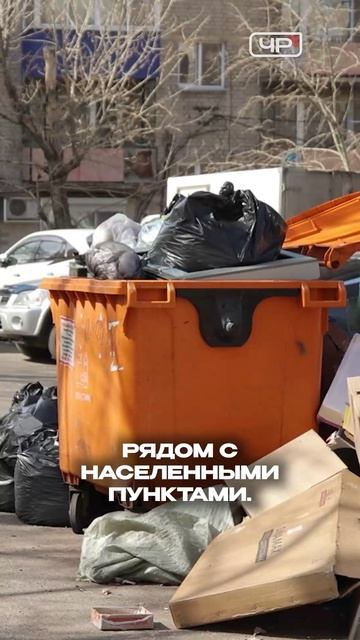 Эконадзор усиливает контроль над вывозом мусора