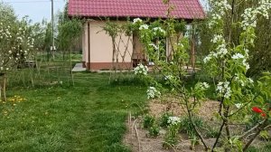 Май. Сад -огород.