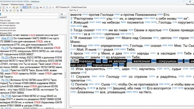 148. Матфея 27_28-29. багряница, венец