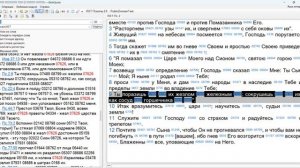 148. Матфея 27_28-29. багряница, венец