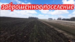 Распаханное поселение поиск артефактов