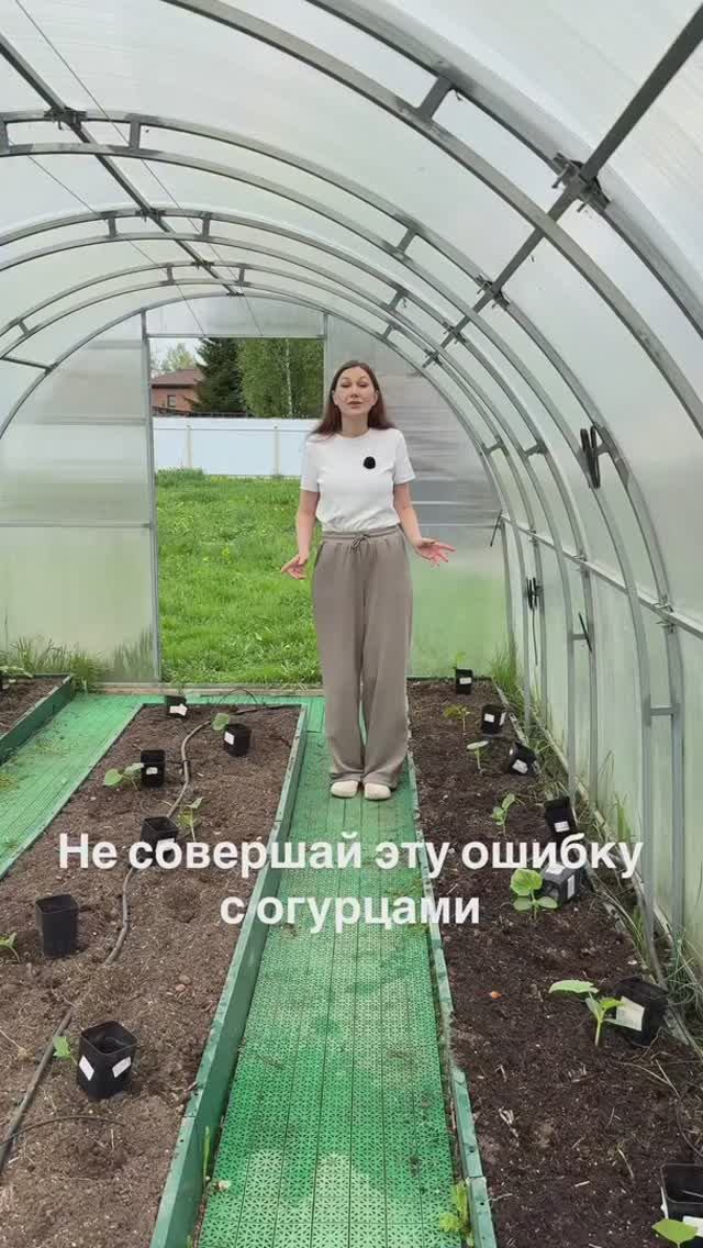 Не совершай эту ошибку с огурцами