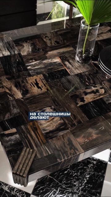 Гид по камню. Окаменелое дерево 🪨 #гид #дерево #камень #рекомендации
