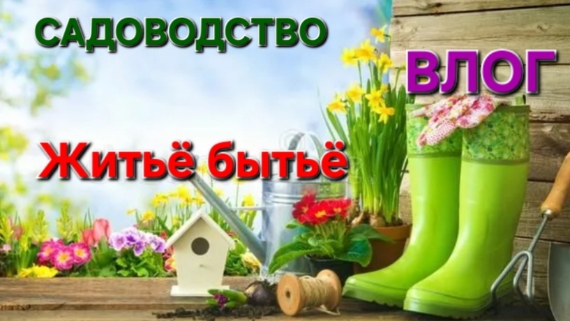 ВЛОГ: Садоводство. Жизнь на даче. Видеодневник. Житьё бытьё. #дача #сад #огород