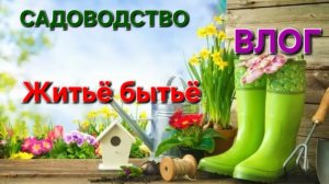 ВЛОГ: Садоводство. Жизнь на даче. Видеодневник. Житьё бытьё. #дача #сад #огород