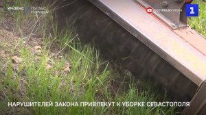 Нарушителей закона привлекут к уборке Севастополя