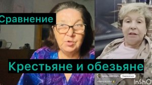 Сравним крестьян и обезьян