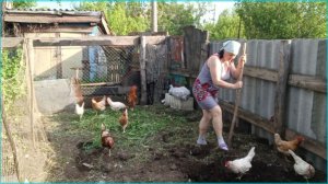 БЛОГЕРСКАЯ ЖИЗНЬ ЗА СТЕКЛОМ