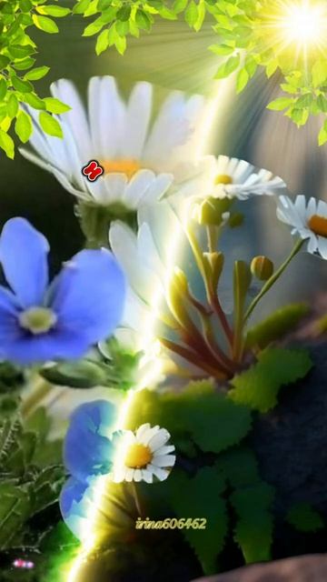 🥰 Оставляйте реакции, если понравилась открытка и делитесь с близкими ❤️