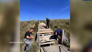 Жители Темрюкского района построили лестницу от грязевого вулкана к морю