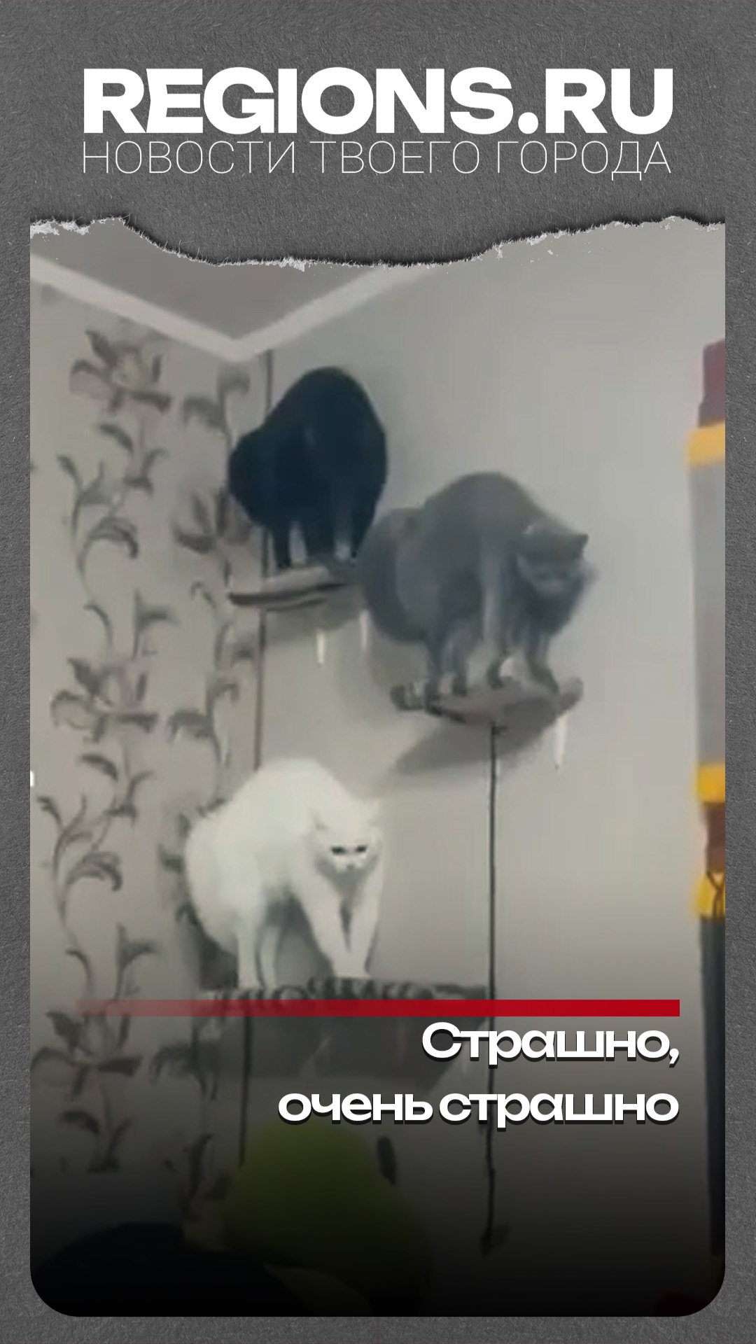 Волшебный закат
