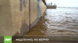 Уровень воды в Оби продолжает подниматься. Нижневартовск
