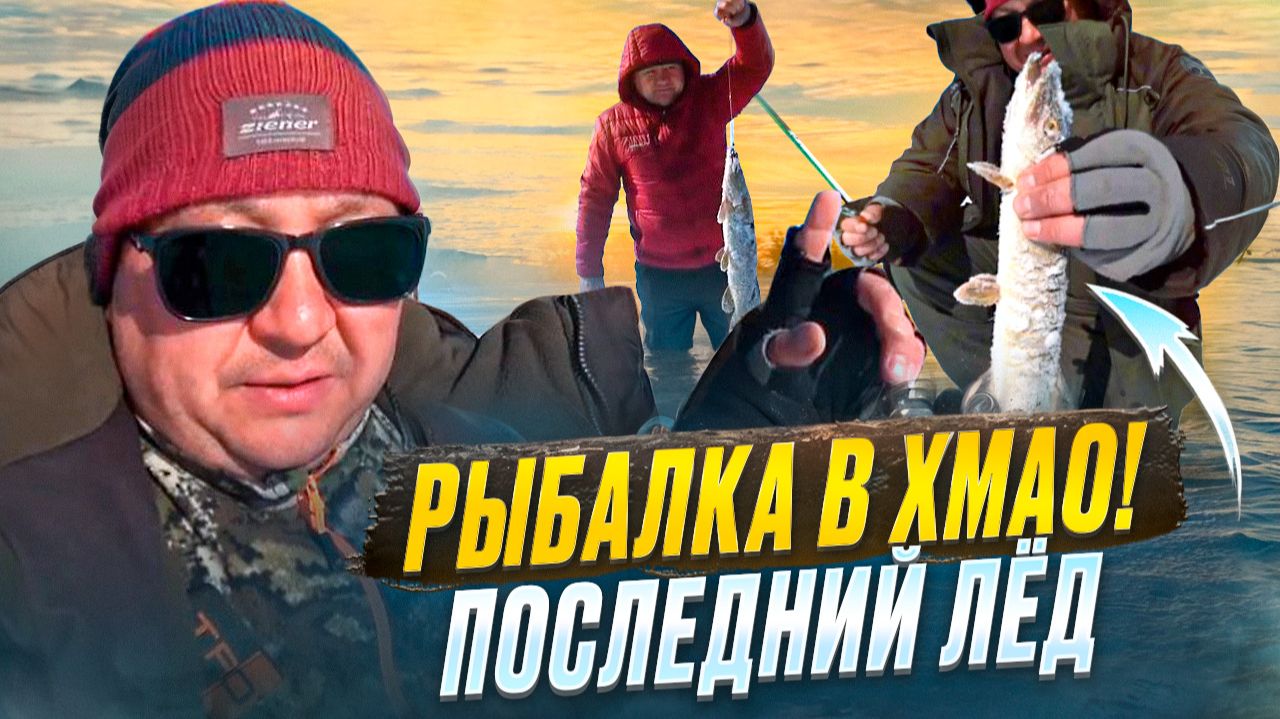 РЫБАЛКА В ХМАО ПО ПОСЛЕДНЕМУ ЛЬДУ. КЛЮЕТ В КАЖДОЙ ЛУНКЕ. ЭТИ ЗЛЫЕ ПОКЛЕВКИ, Я ЗАПОМНЮ НАДОЛГО..