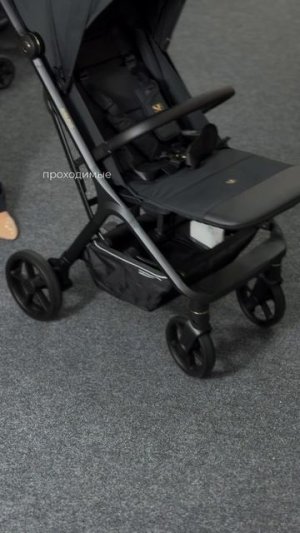 Всесезонная прогулочная коляска Sweet Baby Comfort