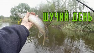 Рыбалка на спиннинг.Ловля щуки на малой реке в пасмурный день.Май 2026.