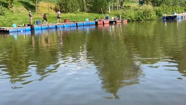 20.05.26 г. РК Волна. смотреть онлайн