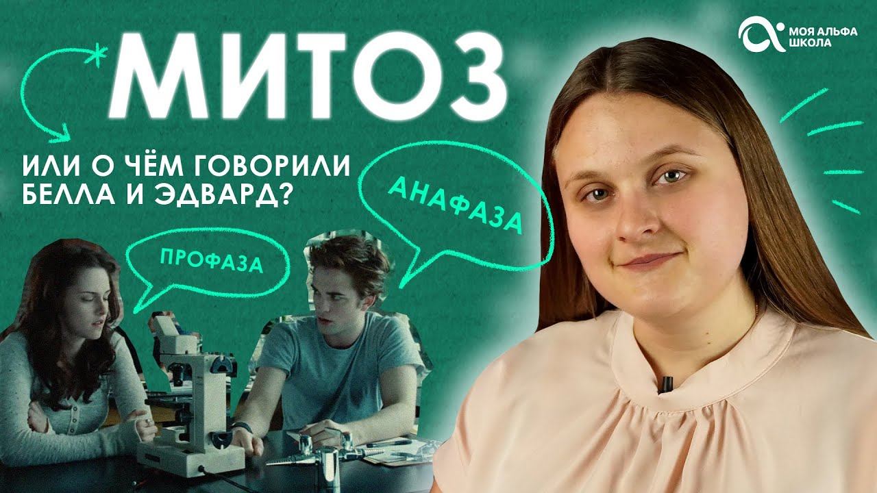 МИТОЗ — что это? Разбираем фазы митоза | БИОЛОГИЯ смотреть онлайн