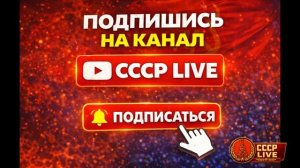 Янукович - самый тупой президент