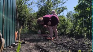 Любашины будни,дача,работа идёт ,сажаем рассаду 🌱 ✅