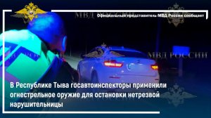 В Туве госавтоинспекторы применили оружие для остановки нетрезвой нарушительницы