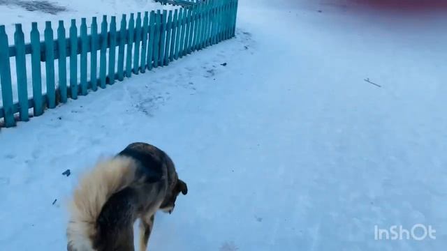 Продать значит предать  иначе надорвусь