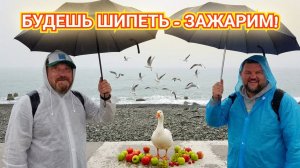 ОРНИТОЛОГИЧЕСКИЙ ПАРК СИРИУС. УТКА В ЯБЛОКАХ. НАСТРОЕНИЕ МЫ ДЕЛАЕМ САМИ.