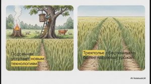 История Беларуси 6 класс § 21 Хозяйственное развитие и культура