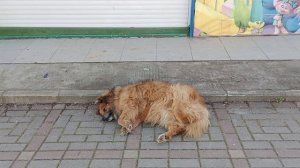 Вышел на волю