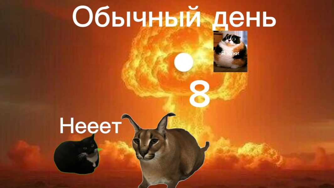 Обычный день 8. МЕЛОН! смотреть онлайн