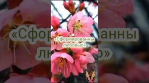 YouCut_20260519_220407248.mp4