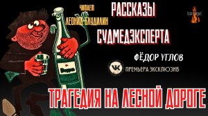 Рассказы Судмедэксперта: ТРАГЕДИЯ НА ЛЕСНОЙ ДОРОГЕ (автор: Фёдор Углов)