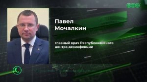 Скверы и парки Уфы обработают от комаров