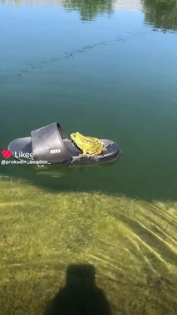 1000030105.mp4