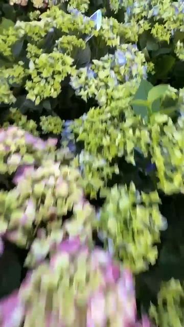 FlorGazm.ru