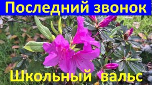 Песня на Выпускной Школьный вальс Последний звонок