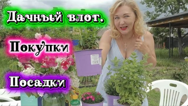 Дачный влог.
Покупки и посадки.
