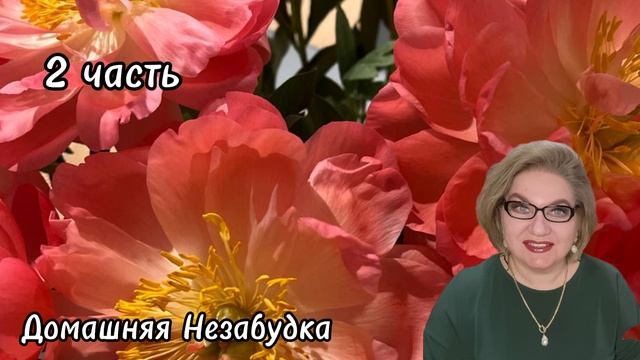 2 часть. В ДЕТСТВЕ куча очень ЛЮБИЛА БОЛЕТЬ и не ходить в школу