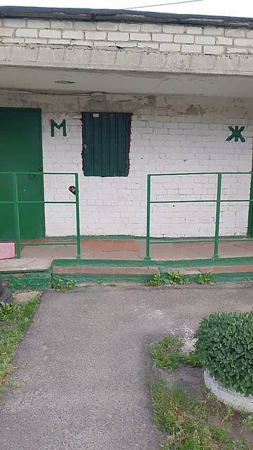 VID_20260520_052900