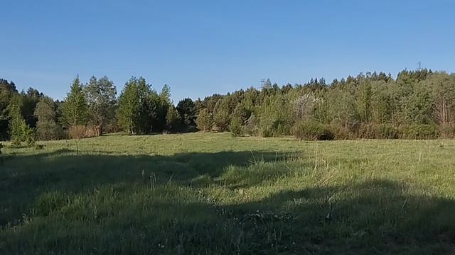 1000027618.mp4