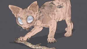 Warrior Cats Edit Utoys (Rock)|Коты Воители Эдит Утёсу||УРА я научилась делать эдиты