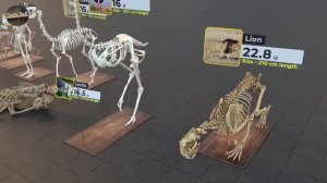 Сравнение размеров скелетов животных: 3D-модели, вес и размеры вымерших животных.