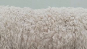 Карина из Aespa снялась в абсурдном сне для коллекции очков Gentle Monster
