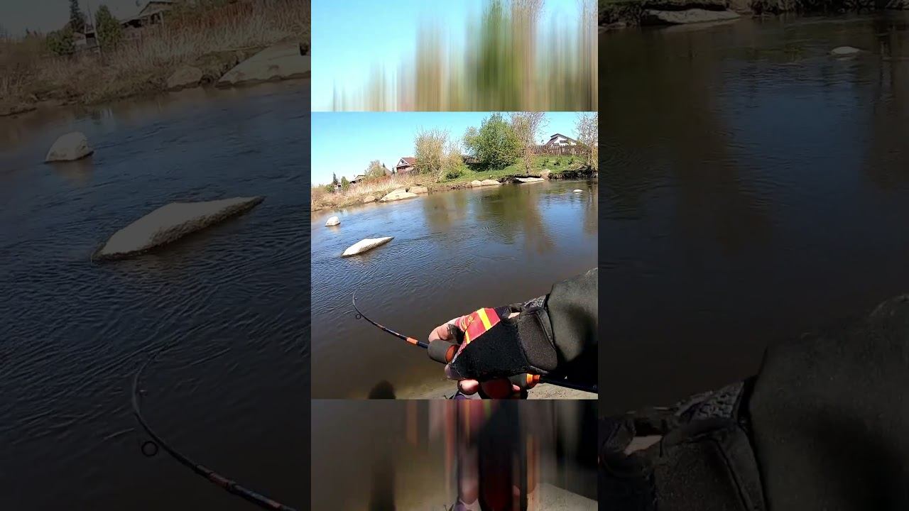 Areator 3 НЕ ТОЛЬКО ДЛЯ ФОРЕЛИ... #fishing #рыбалка #norstream