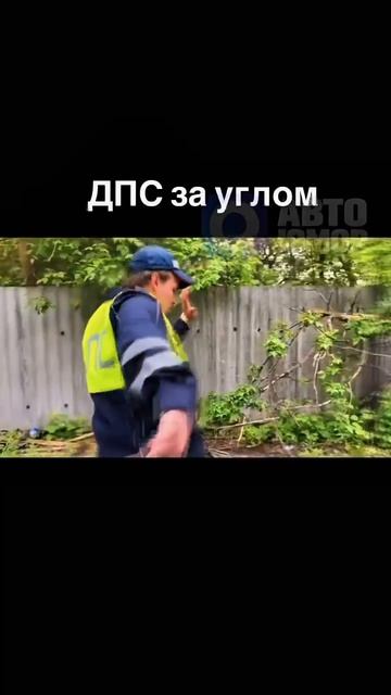 1000087183.mp4