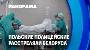 Гостеприимство по-польски. Подробности расстрела белоруса в Польше! Панорама