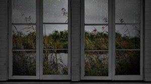 ЛЕТНИЕ ЗВУКИ ДОЖДЯ ДЛЯ СНА 🌧️ ШУМ ДОЖДЯ ЗА ОКНОМ ДЛЯ ОТДЫХА