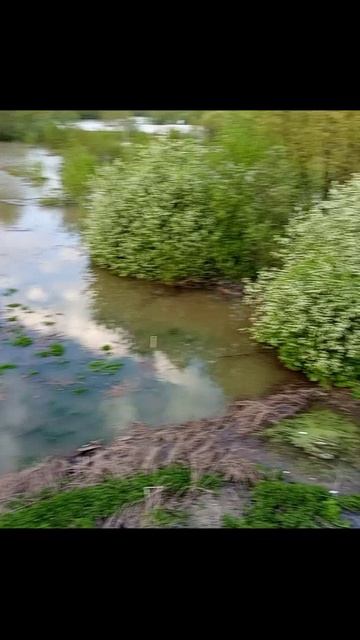 Паводок. Село Безрукова. Вид с крыши.2026.05.11